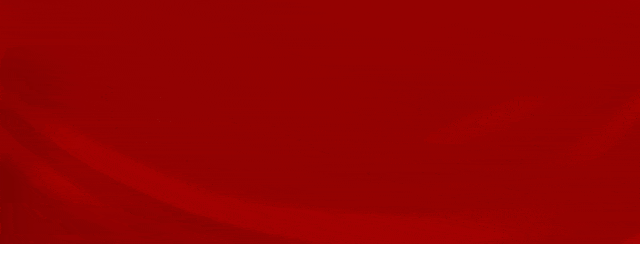 美食盛宴 味蕾狂欢